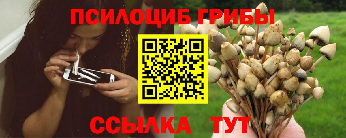 Галлюциногенные грибы мухоморы  Псилоцибиновые грибы GOLDEN TEACHER  Вход с VPN  Ессентуки 