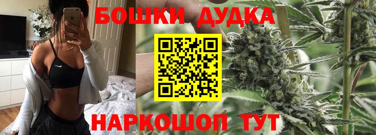 Каннабис OG Kush Ессентуки
